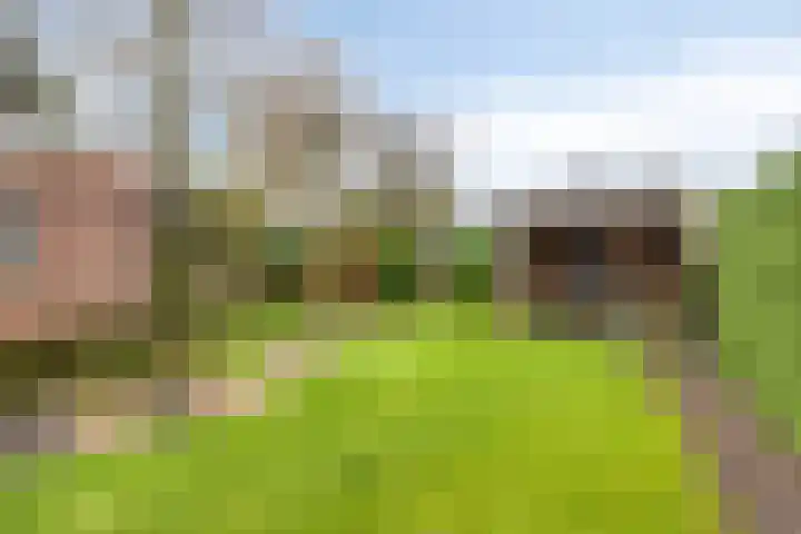 Nieuwstraat 19 Liempde thumbnail 42