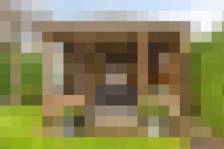 Nieuwstraat 19 Liempde thumbnail 43