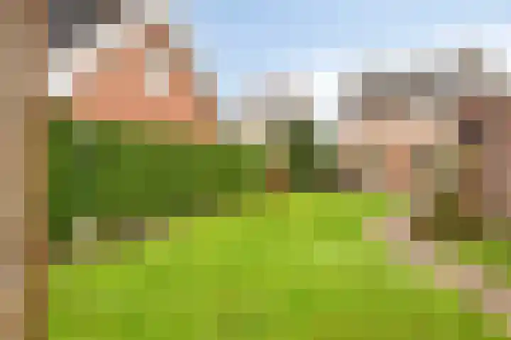 Nieuwstraat 19 Liempde thumbnail 44