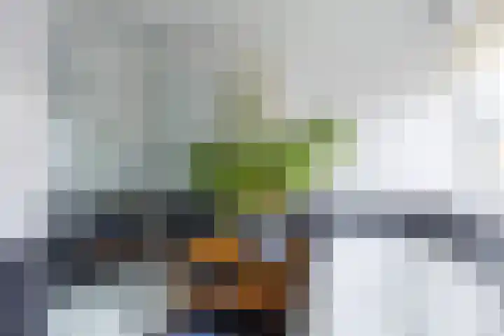Nieuwstraat 19 Noordhorn thumbnail 23