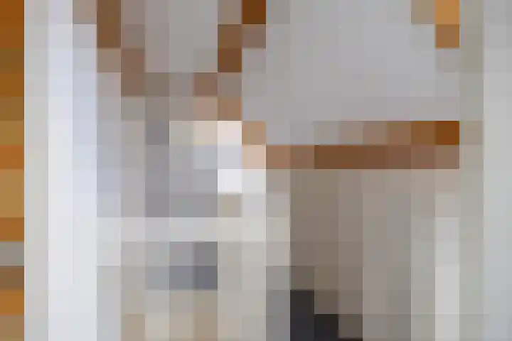 Nieuwstraat 19 Noordhorn thumbnail 25