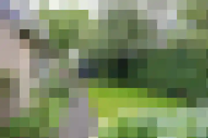 Nieuwstraat 19 Noordhorn thumbnail 36