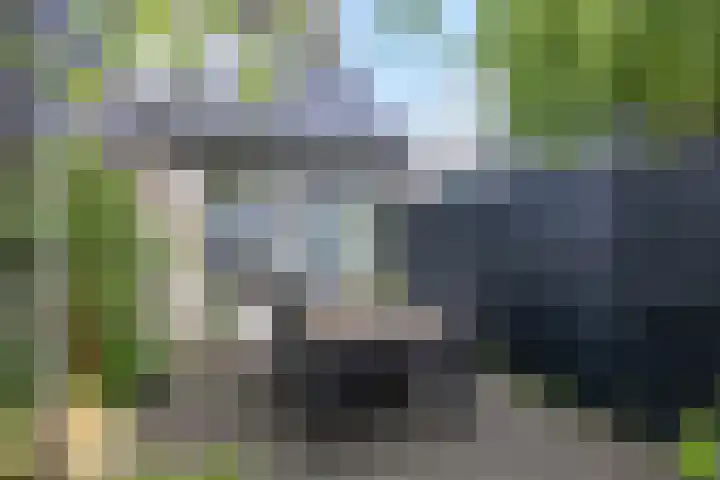 Nieuwstraat 19 Noordhorn thumbnail 37