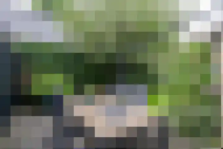 Nieuwstraat 19 Noordhorn thumbnail 39
