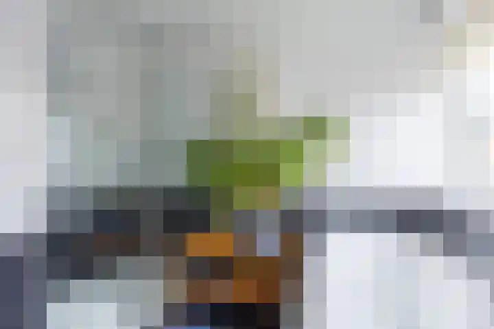 Nieuwstraat 19 Noordhorn thumbnail 4