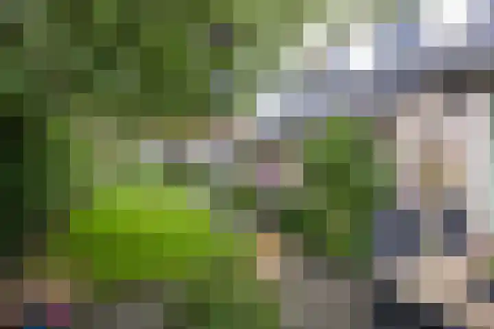 Nieuwstraat 19 Noordhorn thumbnail 40