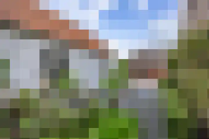 Nieuwstraat 19 Noordhorn thumbnail 41