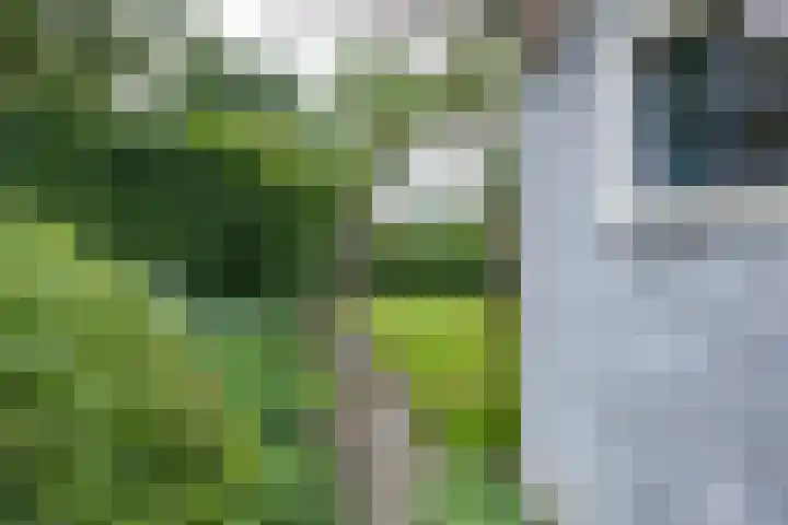 Nieuwstraat 19 Noordhorn thumbnail 42
