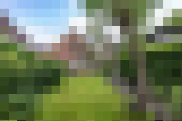 Nieuwstraat 19 Noordhorn thumbnail 47