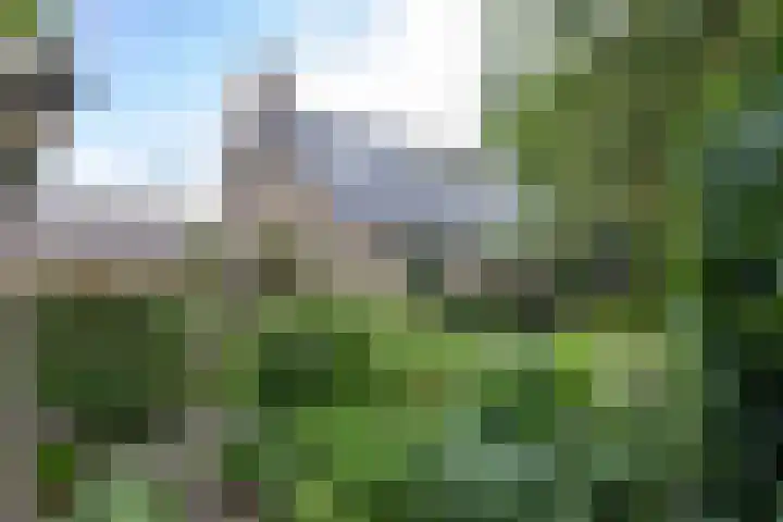 Nieuwstraat 19 Noordhorn thumbnail 48