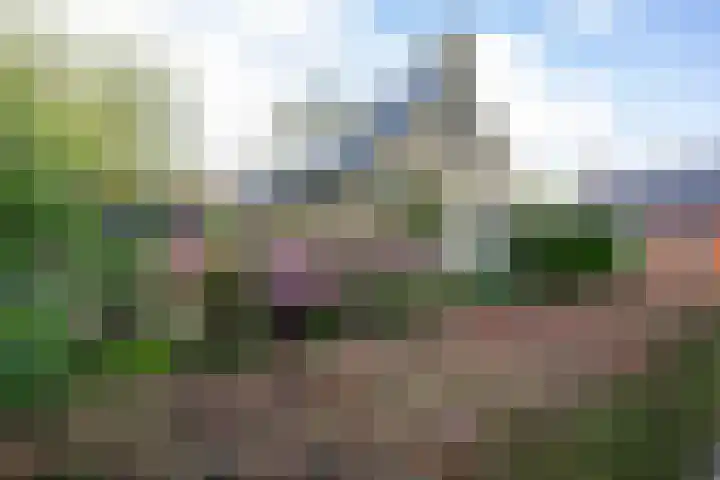 Nieuwstraat 19 Noordhorn thumbnail 5