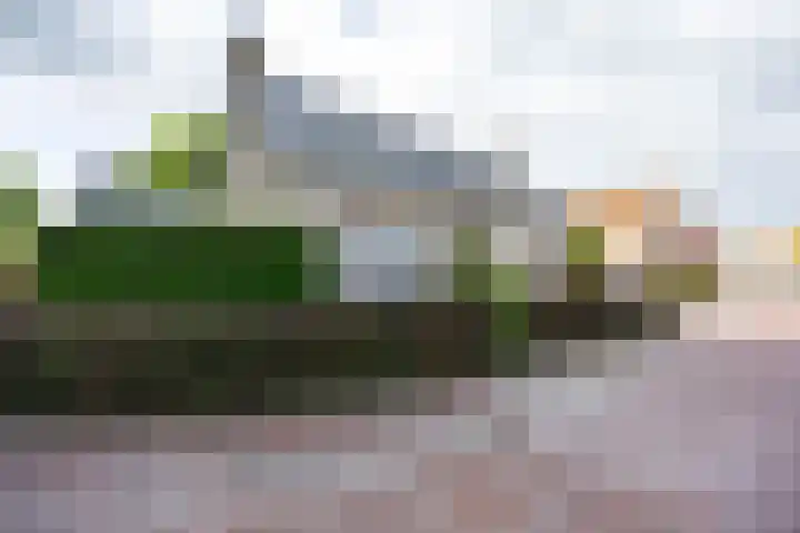 Nieuwstraat 19 Noordhorn thumbnail 6