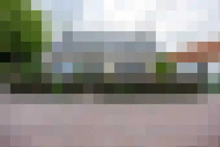 Nieuwstraat 19 Noordhorn thumbnail 8