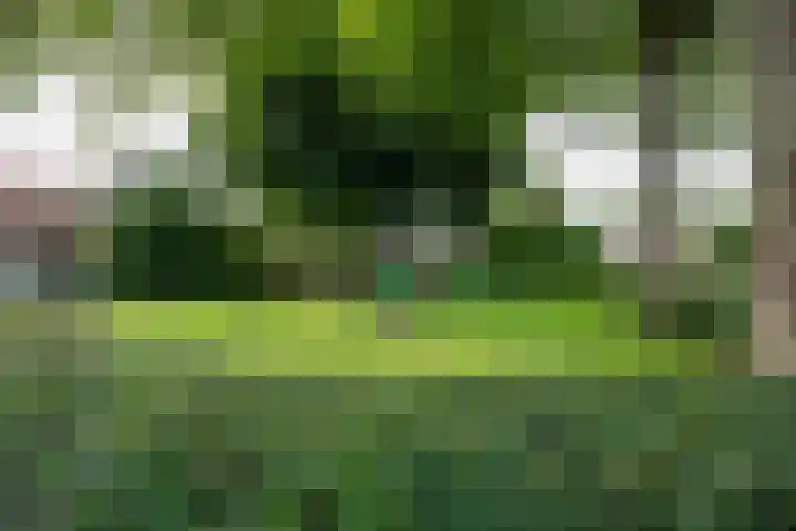 Nieuwstraat 19 Noordhorn thumbnail 9