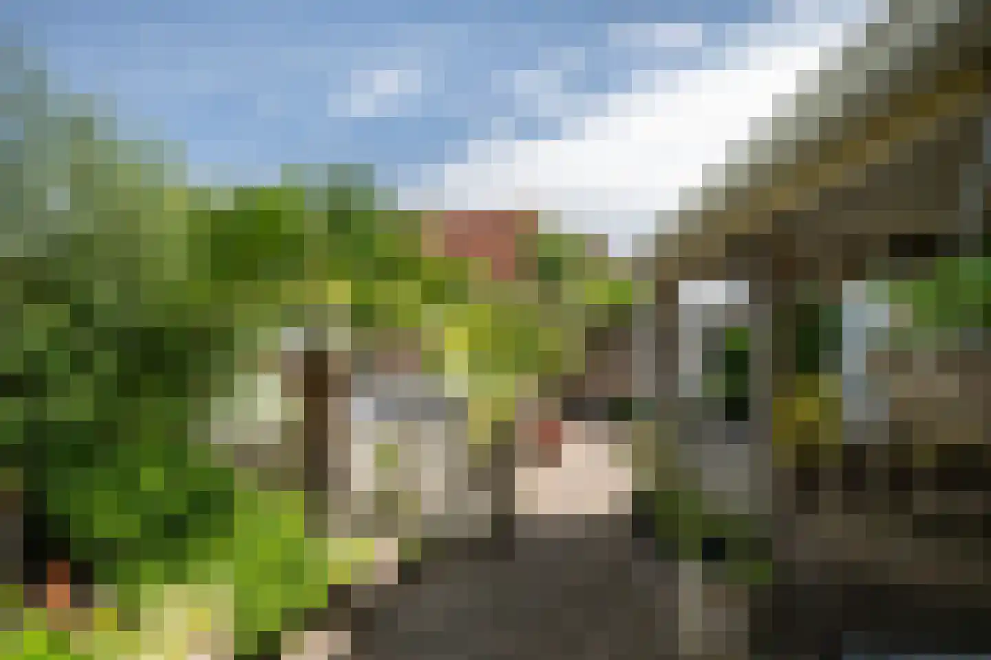 Nieuwstraat 19 Sint-Annaland thumbnail 29