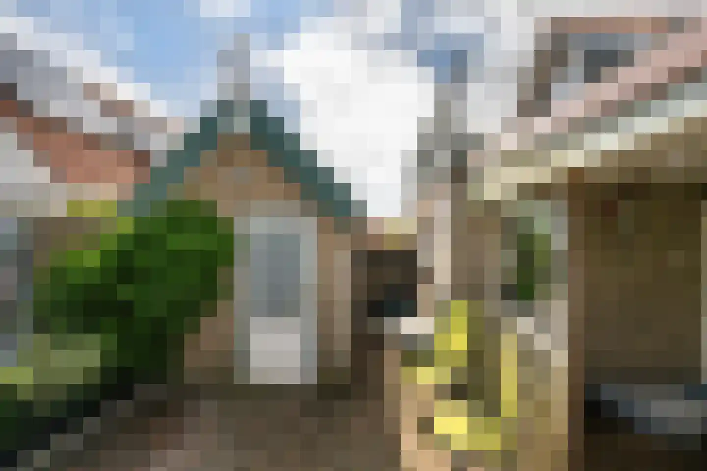Nieuwstraat 19 Sint-Annaland thumbnail 32
