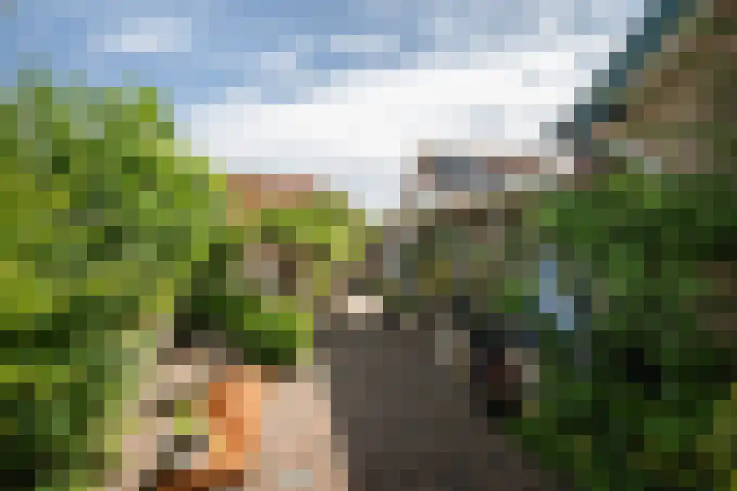 Nieuwstraat 19 Sint-Annaland thumbnail 5