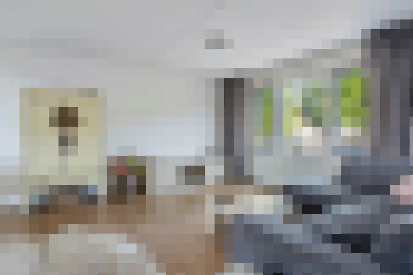 Nieuwstraat 192 Tilburg thumbnail 16