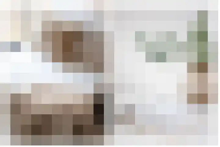 Nieuwstraat 2 Alkmaar thumbnail 12