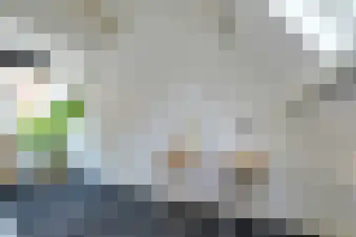 Nieuwstraat 2 Alkmaar thumbnail 16