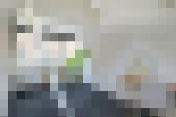 Nieuwstraat 2 Alkmaar thumbnail 17