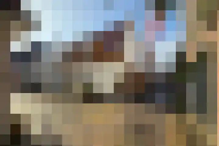Nieuwstraat 2 Alkmaar thumbnail 31