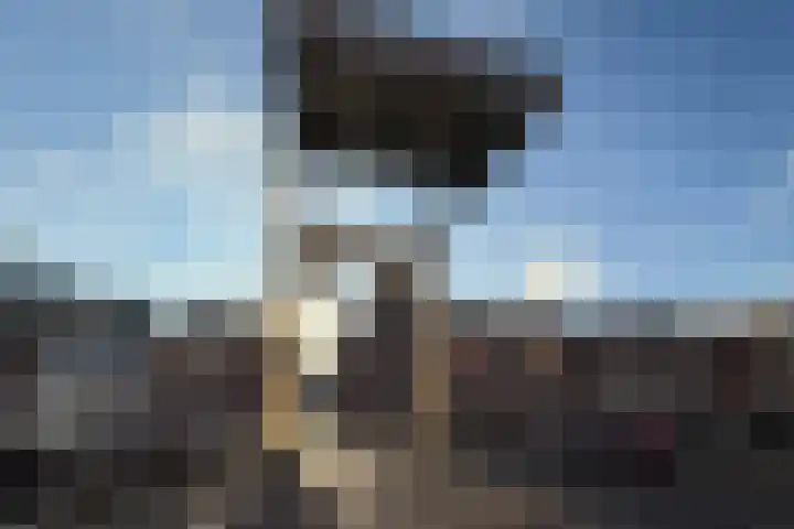 Nieuwstraat 2 Alkmaar thumbnail 39