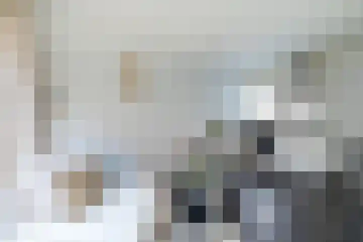 Nieuwstraat 2 Alkmaar thumbnail 8