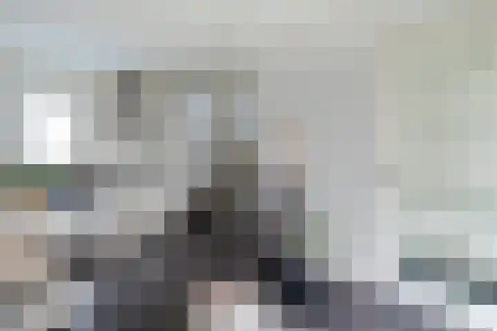 Nieuwstraat 2 Alkmaar thumbnail 9