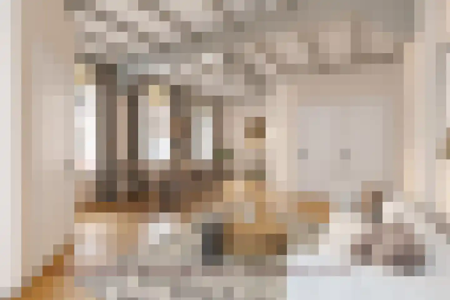 Nieuwstraat 2 Ameide thumbnail 13