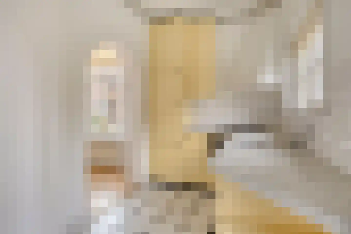 Nieuwstraat 2 Ameide thumbnail 16