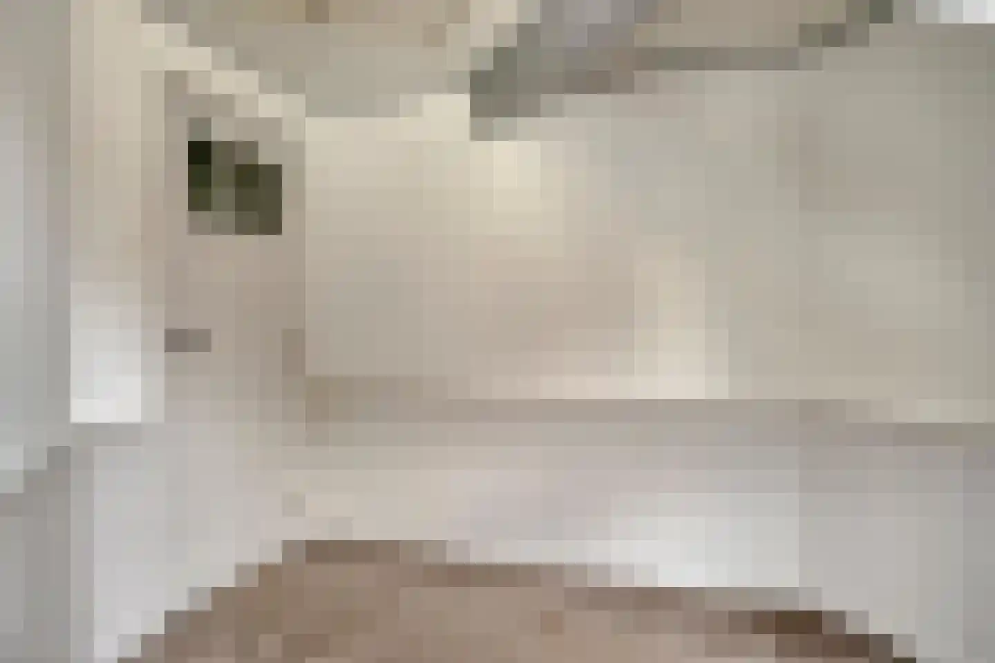 Nieuwstraat 2 Ameide thumbnail 21