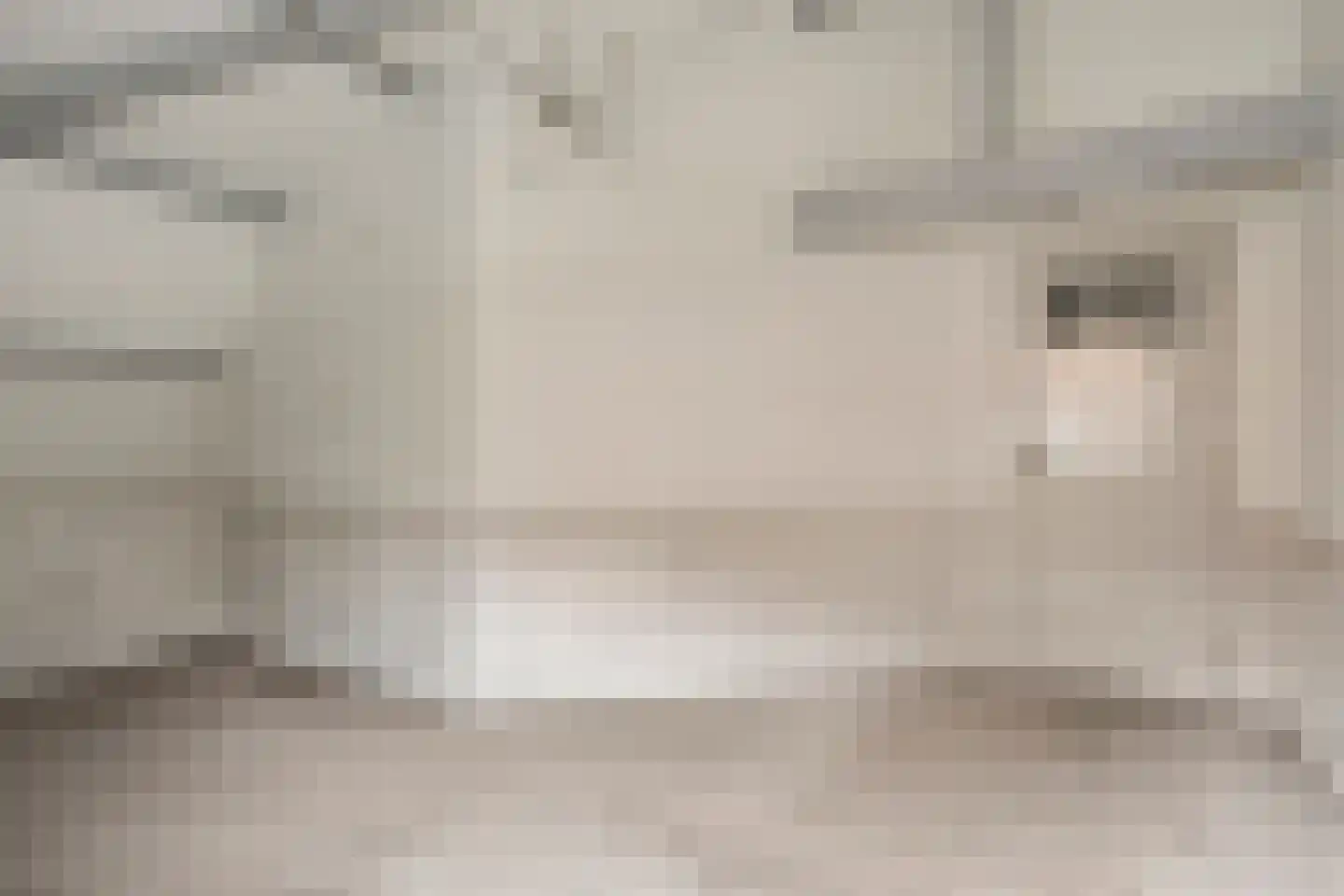 Nieuwstraat 2 Ameide thumbnail 24