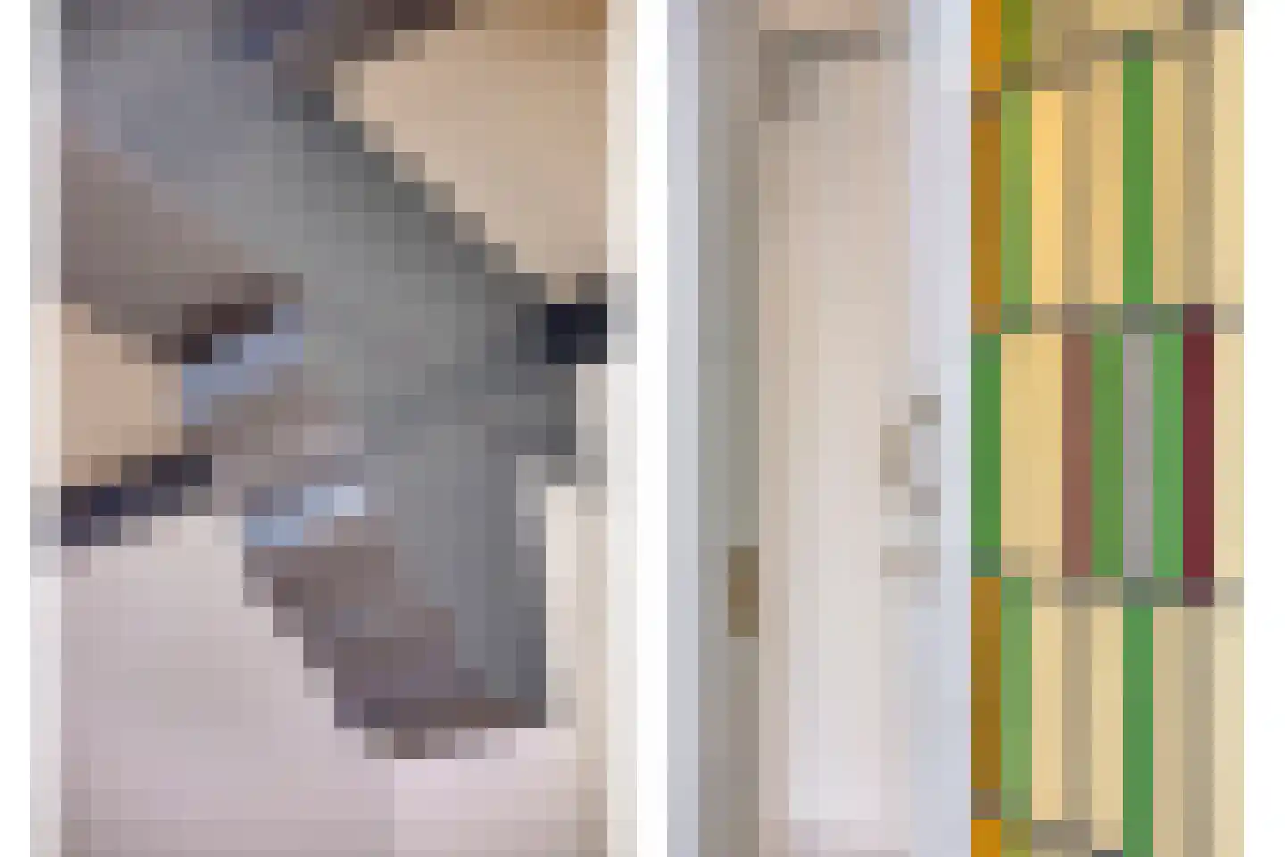 Nieuwstraat 2 Ameide thumbnail 8