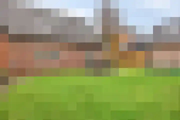 Nieuwstraat 2 B Lithoijen thumbnail 23