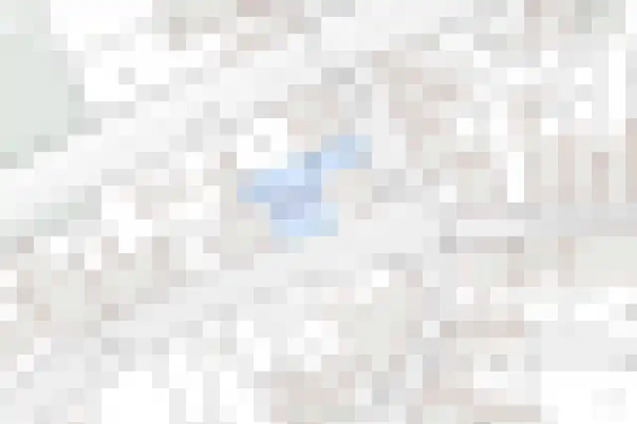Nieuwstraat 2 Groede thumbnail 38