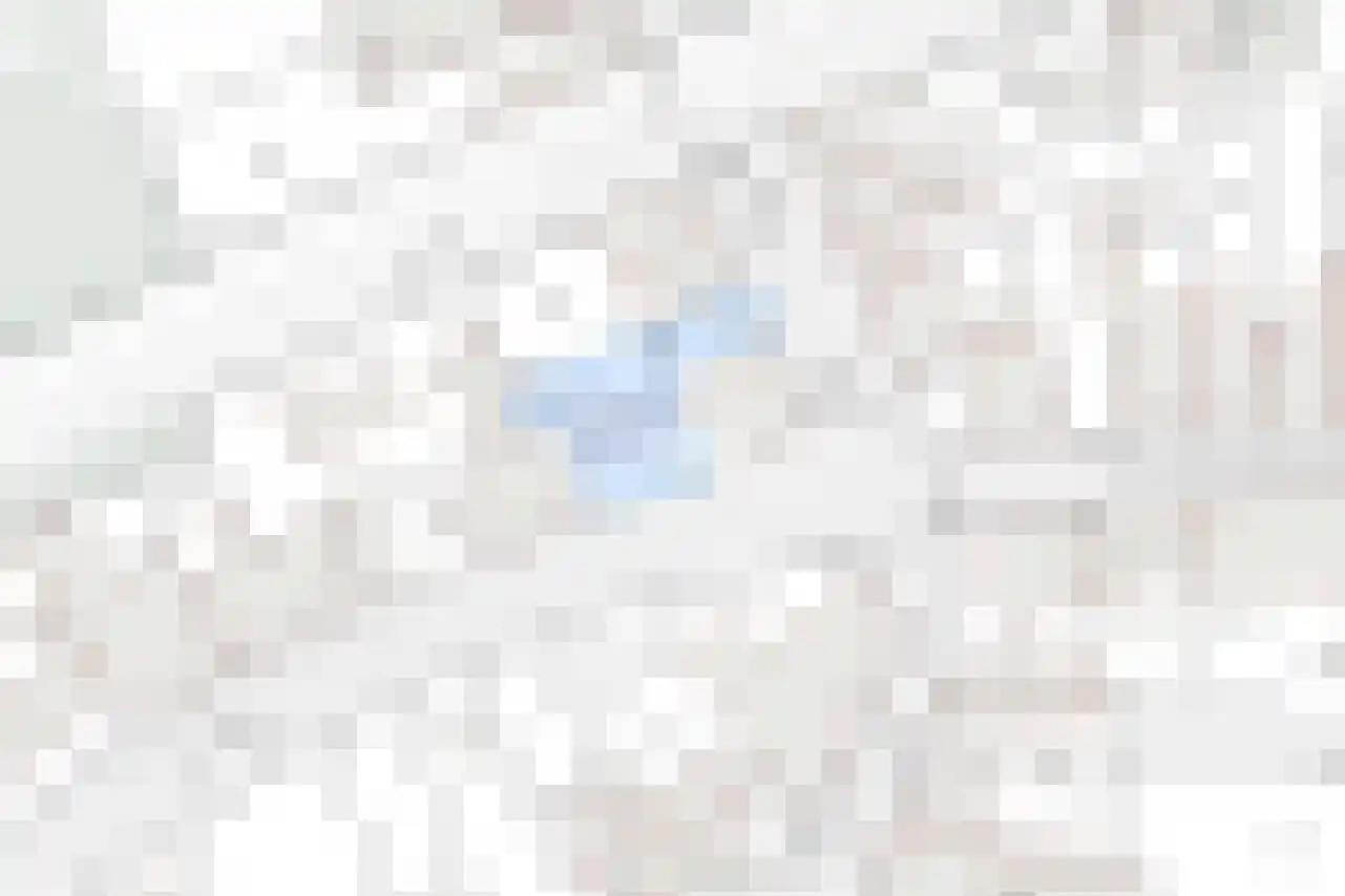 Nieuwstraat 2 Groede thumbnail 41