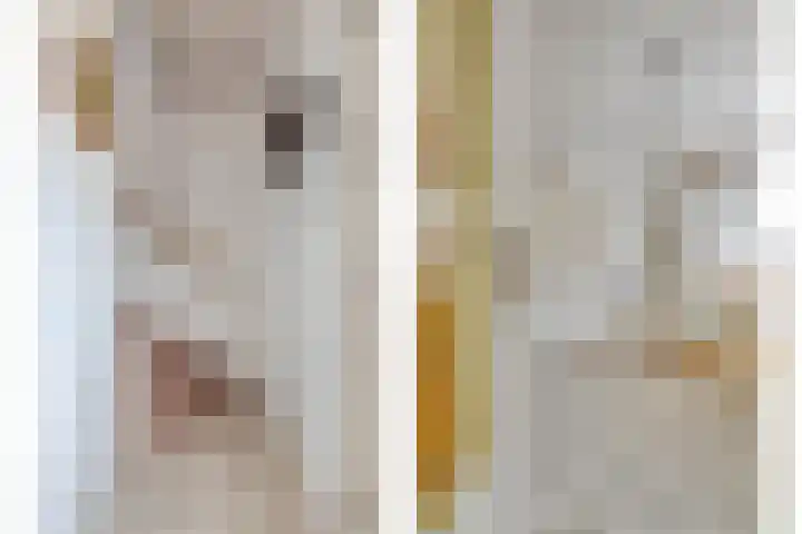 Nieuwstraat 2 Oeffelt thumbnail 10