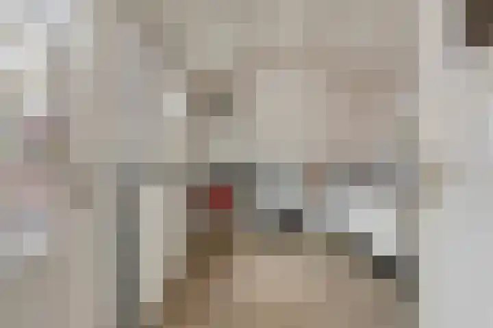 Nieuwstraat 2 Oeffelt thumbnail 21
