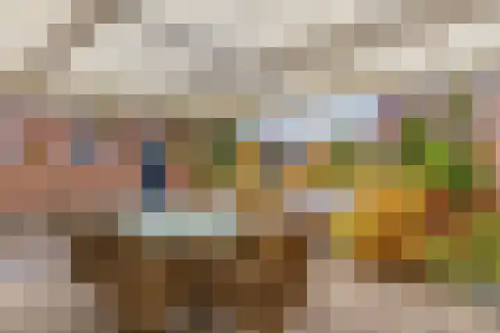 Nieuwstraat 2 Oeffelt thumbnail 28