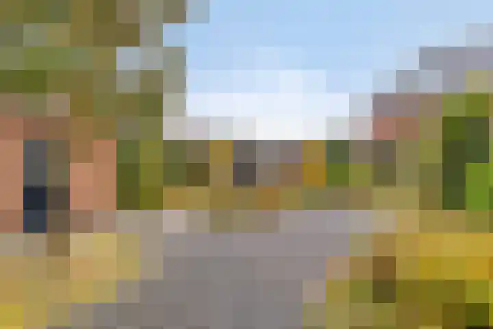 Nieuwstraat 2 Oeffelt thumbnail 29