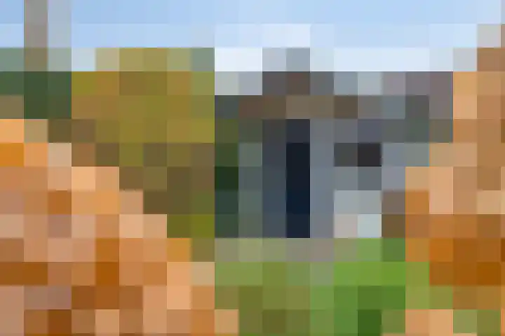 Nieuwstraat 2 Oeffelt thumbnail 31