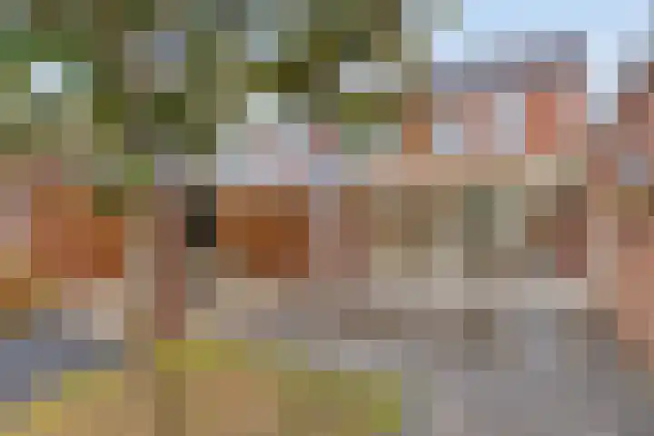 Nieuwstraat 2 Oeffelt thumbnail 34