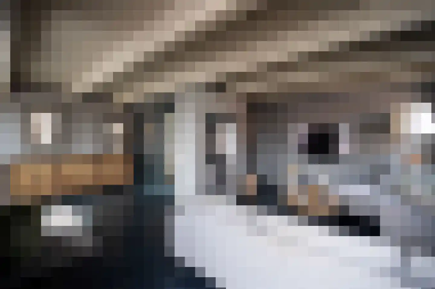 Nieuwstraat 2 Oudewater thumbnail 17