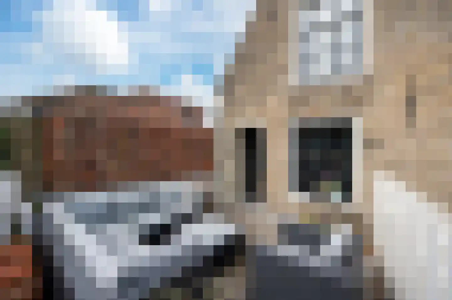 Nieuwstraat 2 Oudewater thumbnail 27