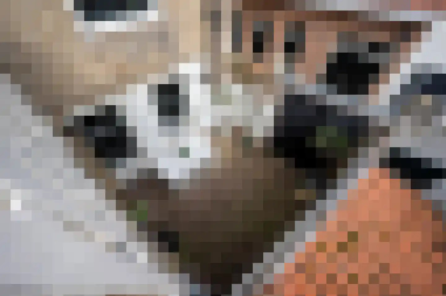 Nieuwstraat 2 Oudewater thumbnail 30