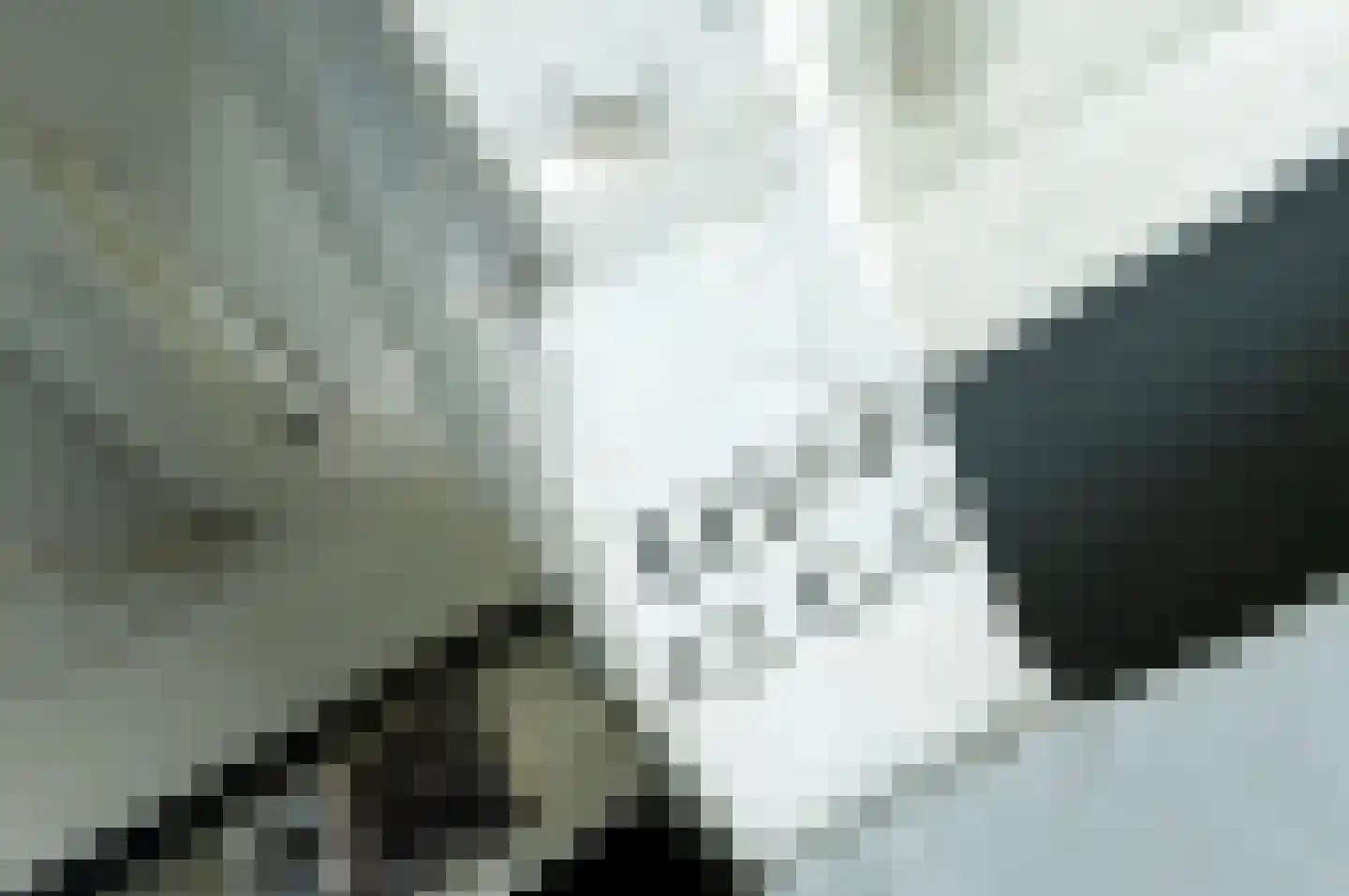 Nieuwstraat 2 Oudewater thumbnail 37
