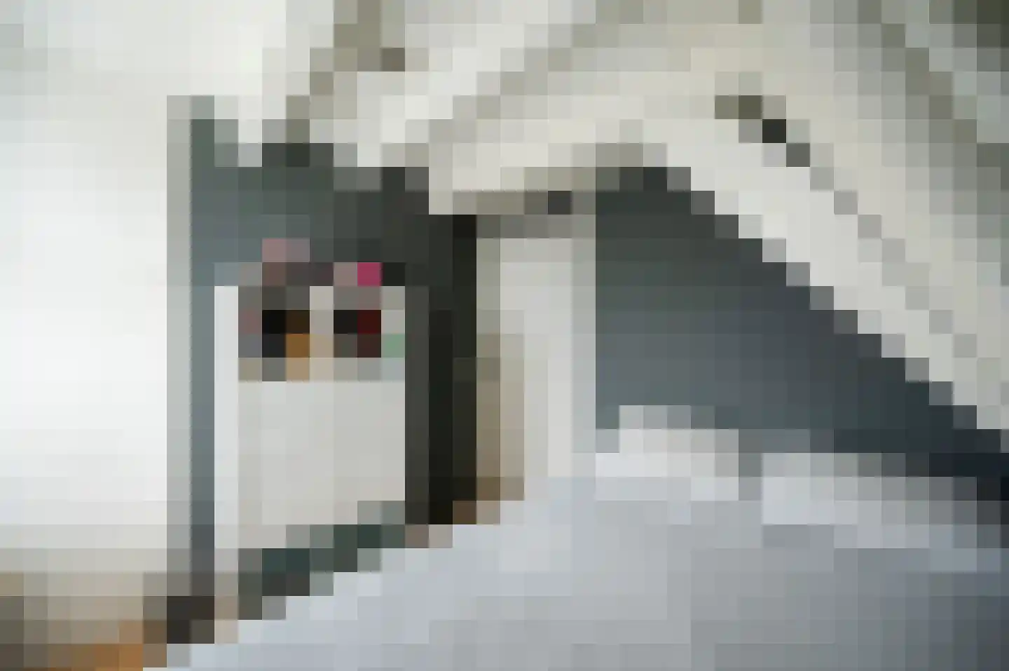 Nieuwstraat 2 Oudewater thumbnail 38