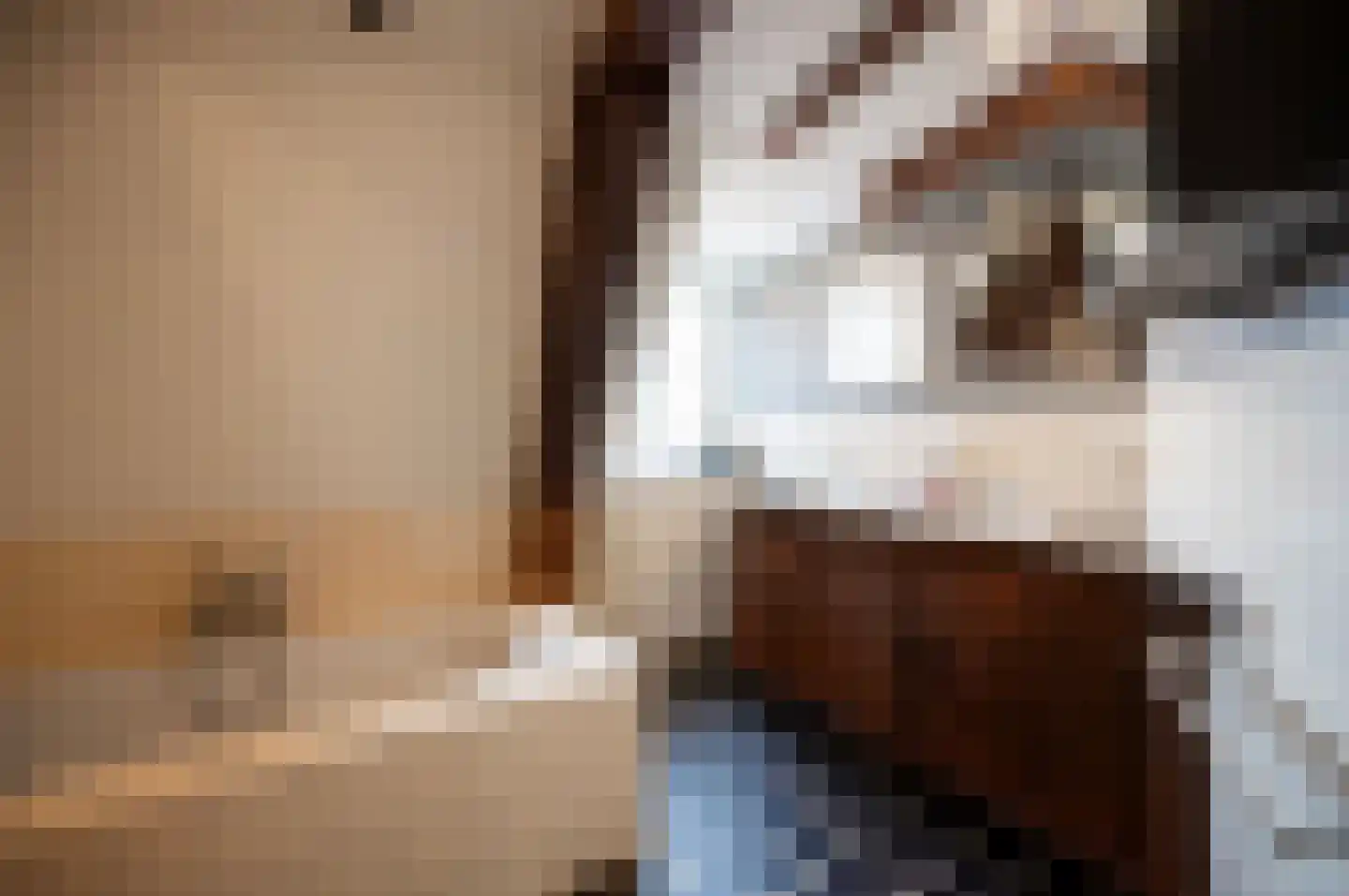Nieuwstraat 2 Oudewater thumbnail 39
