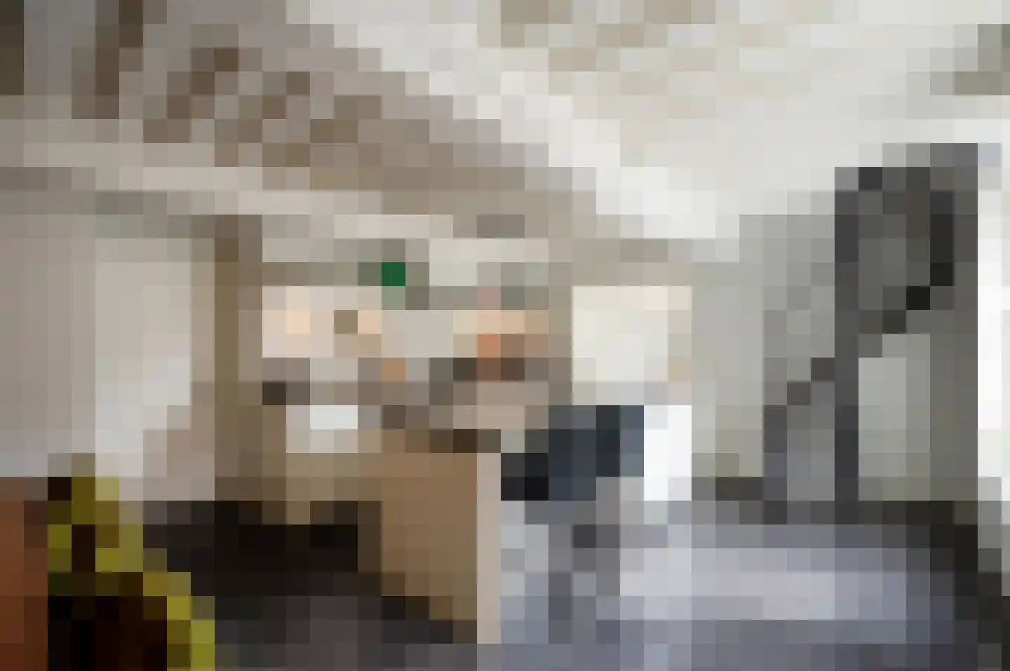 Nieuwstraat 2 Oudewater thumbnail 4